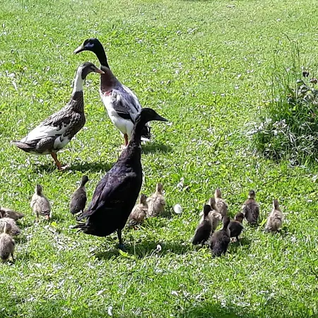 Umundumhuette Katsch an der Mur