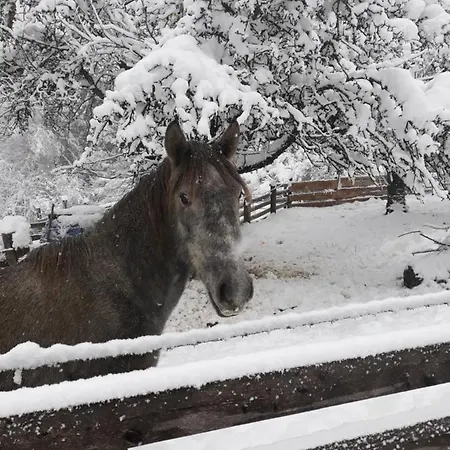 Ferienhaus Umundumhütte Katsch an der Mur