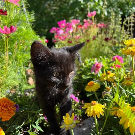 Umundumhuette בית נופש Katsch an der Mur