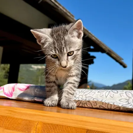 בית נופש Umundumhuette *