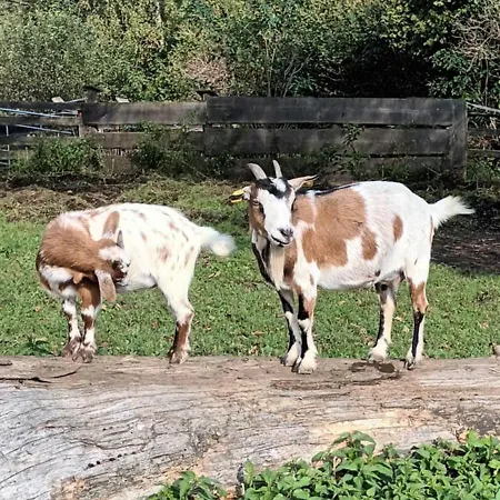 Umundumhütte Katsch an der Mur