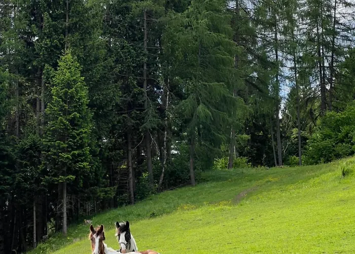 Umundumhuette Dom wakacyjny *