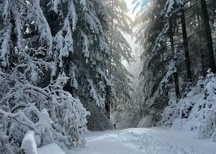 Umundumhuette Katsch an der Mur