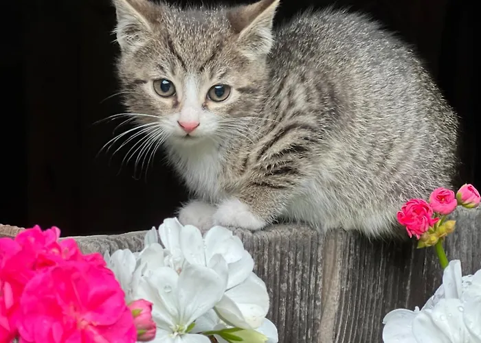 Umundumhuette Dom wakacyjny