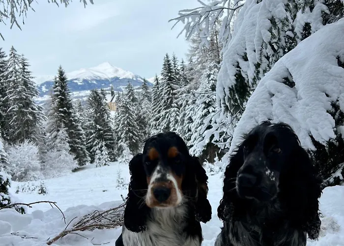 Дом отдыха Umundumhuette *