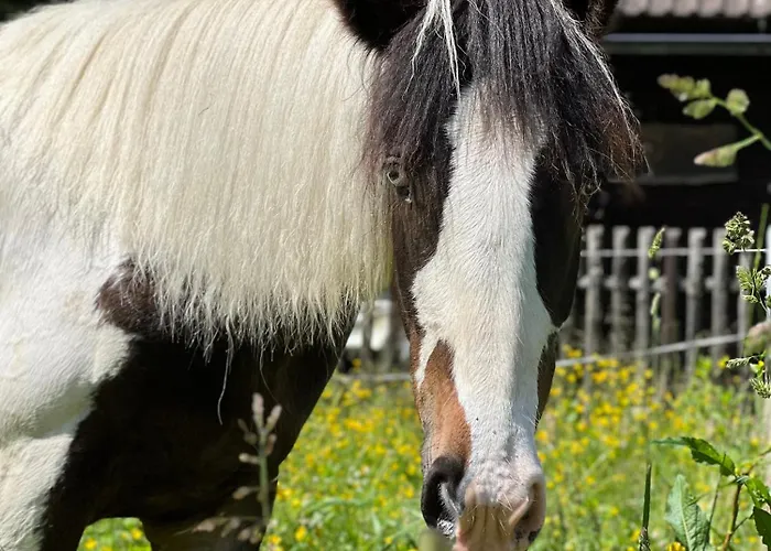 Umundumhuette Katsch an der Mur