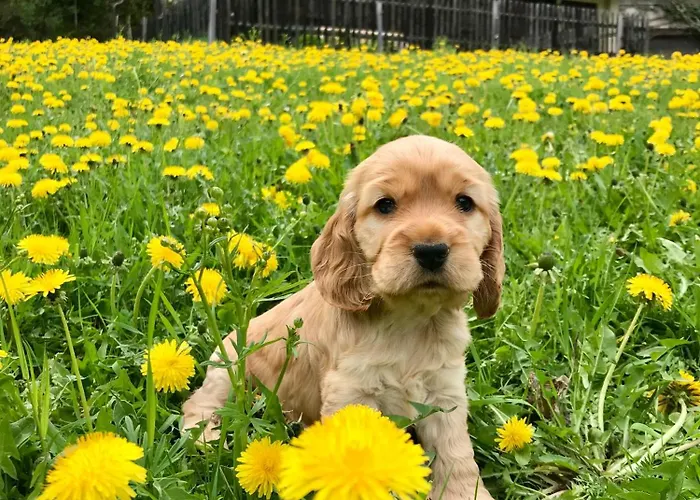 Umundumhuette * Katsch an der Mur